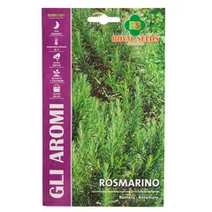 Royal Seeds Rosemary Seeds