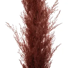 ديكور نبات بامباس مجفف أتموسفيرا (أحمر ياقوتي، 3 قطع)