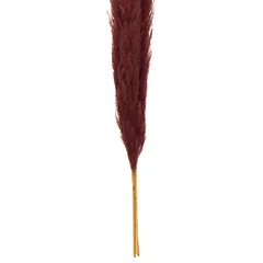 Atmosphera Dried Pampas Décor (3 Pc., Ruby Red)