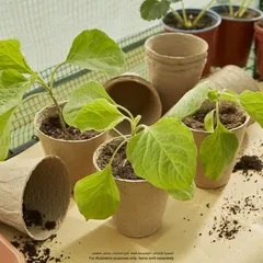 Verve Paper Pulp Plant Pot Pack (48 Pc., 6 x 6 cm)
