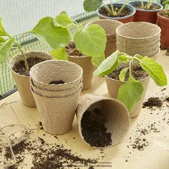 Verve Paper Pulp Plant Pot Pack (48 Pc., 6 x 6 cm)