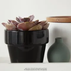 Terracotta Circular Plant Pot (11 x 9.5 cm, Black)