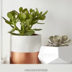 Dipped Concrete Plant Pot (14 x 13.5 cm, Copper)