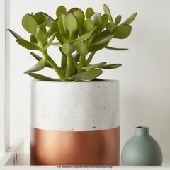 Dipped Concrete Plant Pot (14 x 13.5 cm, Copper)