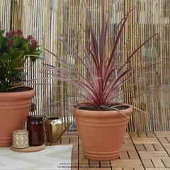 Verve Piave Round Plastic Plant Pot (30.6 x 25 cm, Terracotta)