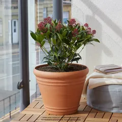 Verve Piave Round Plastic Plant Pot (37 x 29.9 cm, Terracotta)