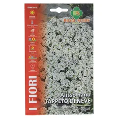 Royal Seeds Dwarf Alyssum Carpet of Snow Seed Pack (0.9 g)