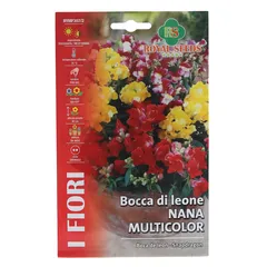 Royal Seeds Multicolor Dwarf Snapdragon Seed Pack (1 g)