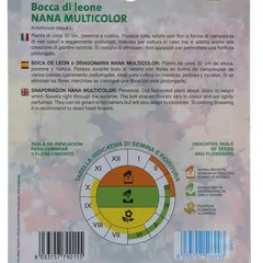 Royal Seeds Multicolor Dwarf Snapdragon Seed Pack (1 g)