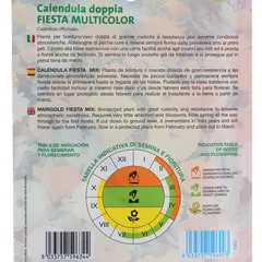 Royal Seeds Calendula Doppia Fiesta Seed Pack (2.5 g)