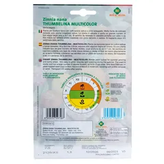 Royal Seeds Dwarf Multicolor Zinnia Seed Pack (1.6 g)