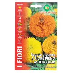 Royal Seeds Giant Multicolor Full Flower Marigold Seed Pack (1.5 g)