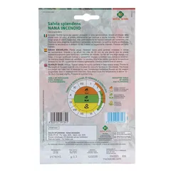 Royal Seeds Salvia Splendens Seed Pack (0.3 g)