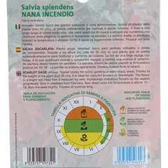 Royal Seeds Salvia Splendens Seed Pack (0.3 g)