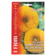 Royal Seeds Full-Flowered Yellow Dwarf Sunflower Seed Pack (3 g)