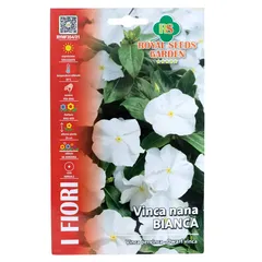 Royal Seeds White Dwarf Vinca Seed Pack (0.25 g)