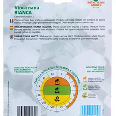 Royal Seeds White Dwarf Vinca Seed Pack (0.25 g)