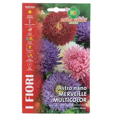 Royal Seeds Multicolor Dwarf Aster Seed Pack (1.75 g)