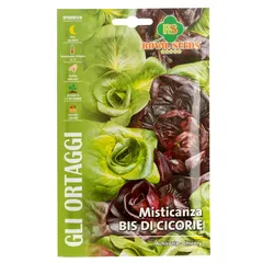 Royal Seeds Chicory Seed Pack (12 g)