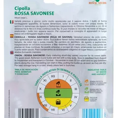 Royal Seeds Rossa Savonese Onion Seed Pack (3 g)