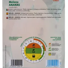 عبوة بذور شمام أناناس رويال سيدز (4 جرام)