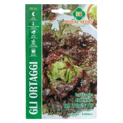 Royal Seeds Rossa Di Trento Lettuce Seed Pack (7 g)