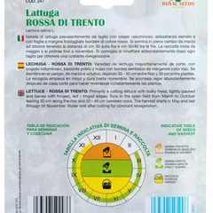 Royal Seeds Rossa Di Trento Lettuce Seed Pack (7 g)