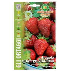 Royal Seeds Four Season Strawberry Seed Pack (0.25 g)