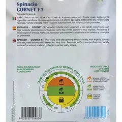 Royal Seeds Cornet HY-F1 Spinach Seed Pack (12 g)