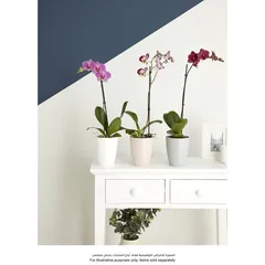 Plastic Orchid Plant Pot (13.2 x 16 cm, Duck Egg)