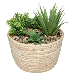 Atmosphera Hacienda Plant Arrangement with Natural Pot (D. 17 X H. 19 cm)
