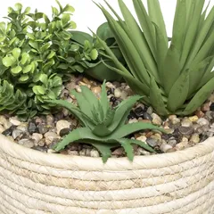 Atmosphera Hacienda Plant Arrangement with Natural Pot (D. 17 X H. 19 cm)