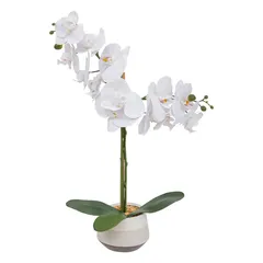 Atmosphera Clera Orchid with Ceramic Pot (H. 52 cm)