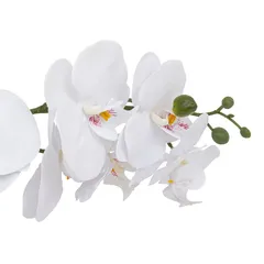 Atmosphera Clera Orchid with Ceramic Pot (H. 52 cm)