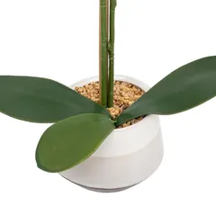 Atmosphera Clera Orchid with Ceramic Pot (H. 52 cm)