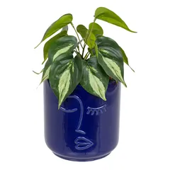 Atmosphera Soleya Plant with Ceramic Face Pot (H. 30 cm)