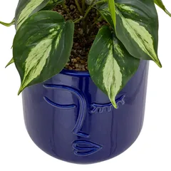 Atmosphera Soleya Plant with Ceramic Face Pot (H. 30 cm)