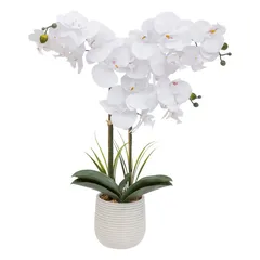 Atmosphera Riva Orchid with Ceramic Pot (H. 60 cm)