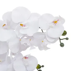 Atmosphera Riva Orchid with Ceramic Pot (H. 60 cm)
