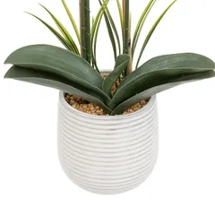 Atmosphera Riva Orchid with Ceramic Pot (H. 60 cm)