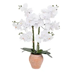 Atmosphera Dena Orchid with Terracotta Pot (H. 65 cm)