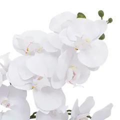 Atmosphera Dena Orchid with Terracotta Pot (H. 65 cm)