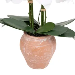 Atmosphera Dena Orchid with Terracotta Pot (H. 65 cm)