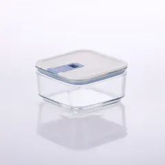 Neoflam Perfect Seal Square Glass Storage Container (500 ml, Clear)