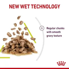 Royal Canin Sensory Smell Wet Cat Food (85 g, Adult Cats)