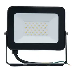 Levin ECO Flood Light with Sensor (30 W, 3000 K, Clear Glass)