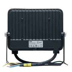 Levin ECO Flood Light with Sensor (30 W, 3000 K, Clear Glass)