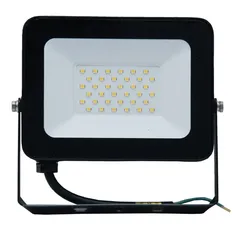 Levin ECO Flood Light with Sensor (30 W, 6500 K, Clear Glass)