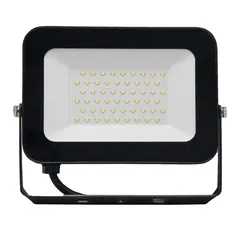 Levin ECO Flood Light (50 W, 3000 K, Clear Glass)