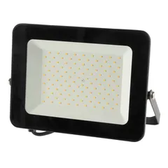 Levin LED Floodlight (100 W, Cool White)